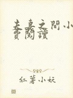 夫妻之间小说免费阅读