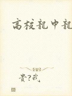 高校龙中龙