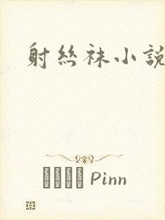 射丝袜小说