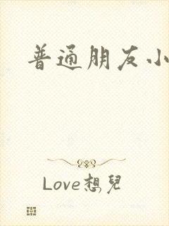 普通朋友小说