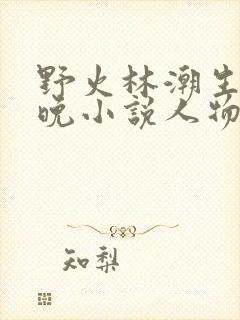野火林潮生林晚晚小说人物野火