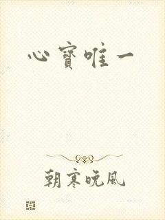 心宝唯一