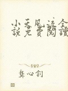 小天风流全集小说免费阅读