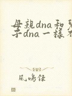 母亲dna和儿子dna一样不