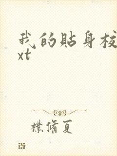 我的贴身校花txt