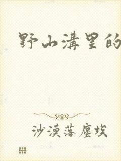 野山沟里的村庄