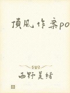 顶风作案po