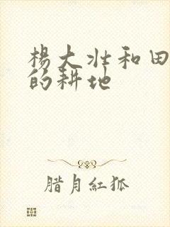 杨大壮和田桂花的耕地