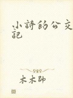 小诗的公交车日记