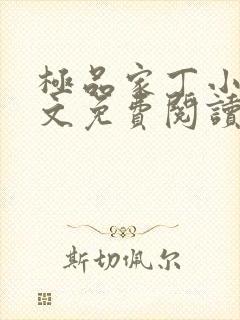 极品家丁小说全文免费阅读