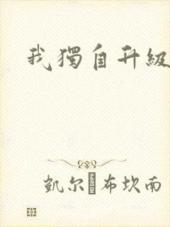 我独自升级漫画