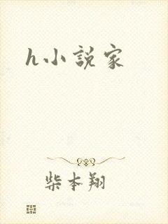 h小说家