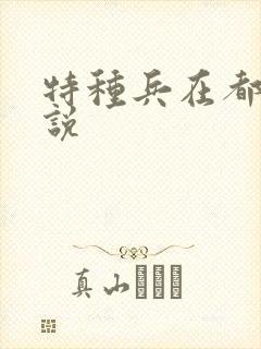 特种兵在都市小说