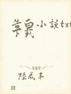 告白小说txt下载