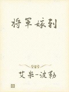 将军嫁到