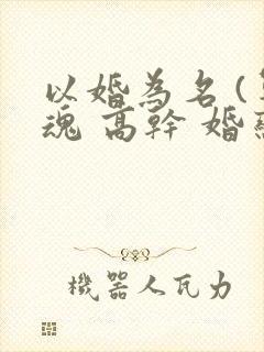 以婚为名 (军魂 高干 婚恋)
