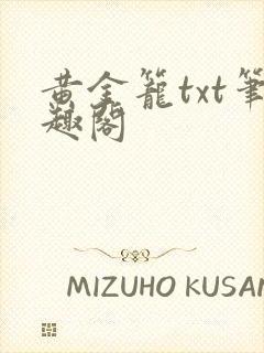 黄金笼txt笔趣阁