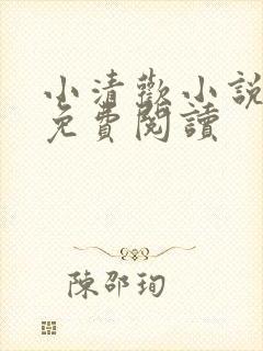 小清欢小说全文免费阅读