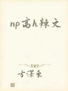 np高h辣文
