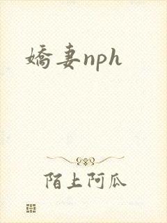 娇妻nph