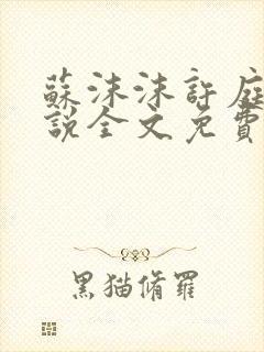 苏沫沫许庭川小说全文免费阅读