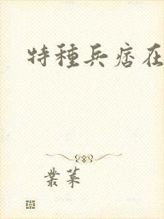 特种兵痞在都市
