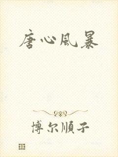 唐心风暴