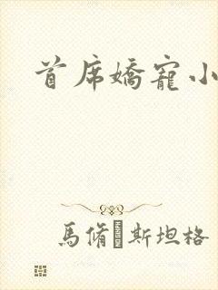 首席娇宠小情人