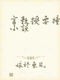 言教授要撞坏了小说