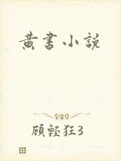 黄书小说