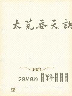 太荒吞天诀小说