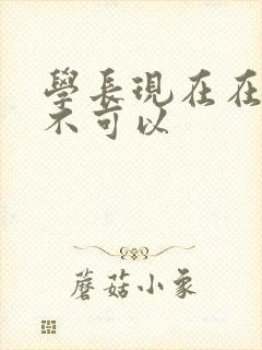 学长现在在上课不可以