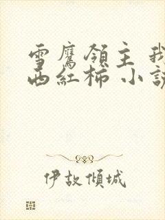 雪鹰领主 我吃西红柿 小说