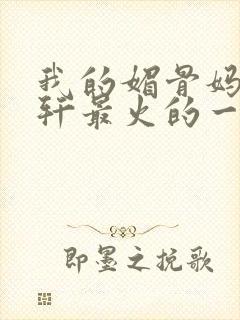 我的媚骨妈妈林轩最火的一句