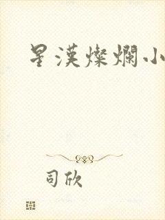 星汉灿烂小说