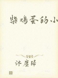 柴鸡蛋的小说