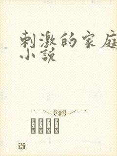 刺激的家庭乱仑小说