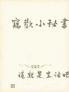 窃欢小秘书