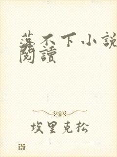 落不下小说免费阅读