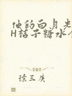 他的白月光HVH桔子糖水全文
