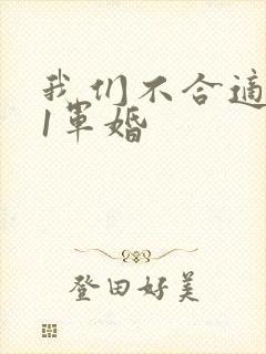我们不合适1v1军婚