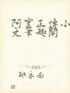 阿宾正传小说全文笔趣阁