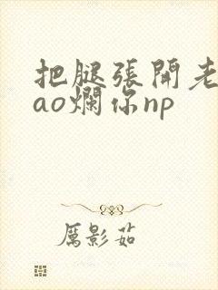 把腿张开老子cao烂你np