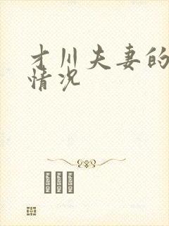 才川夫妻的恋爱情况