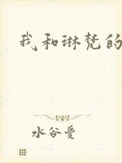 我和琳梵的故事