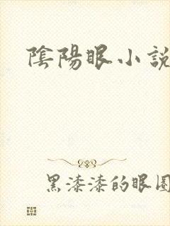 阴阳眼小说