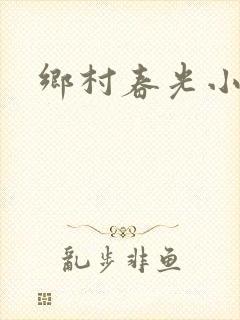 乡村春光小说