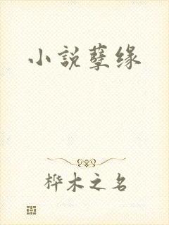 小说孽缘