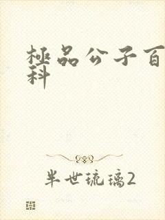 极品公子百度百科