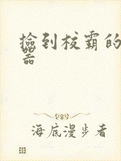 捡到校霸的遥控器